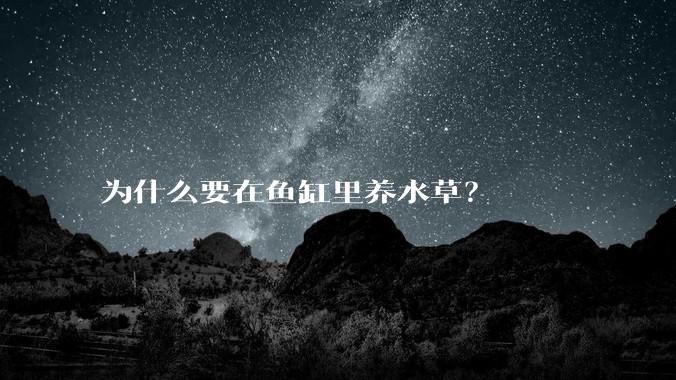 为什么要在鱼缸里养水草？